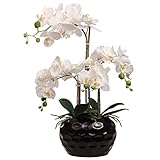 20-Inch White Phalaenopsis Orchid Arrangement - Realistic Silk Flowers in Black Ceramic Vase - Perfect for Home & Office Decor