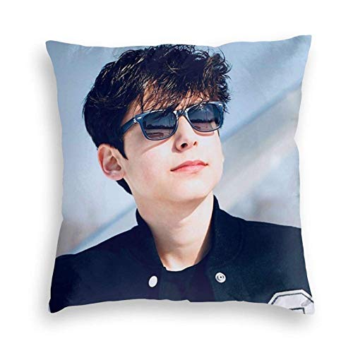 XCNGG Funda de Almohada Funda de cojín de Almohada Cover