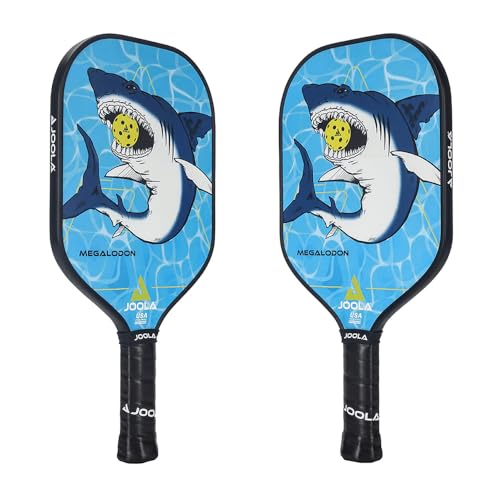JOOLA Kids Pickleball Paddle
