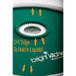4 Fruit Leather Silicone Dehydrator Sheets with EDGES - NON-Toxic Compatible With Presto Round Dehydrators Lip Mold Hold Batter Liquid Fruit Roll Up Circle ReUsable Flexible No Stick - Image 4