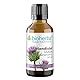 Mariendistel Tropfen, Tinktur 50 ml – Silybum marianum L., mit Vitamin B6, Vegan von BIOHERBA PZN 17187675