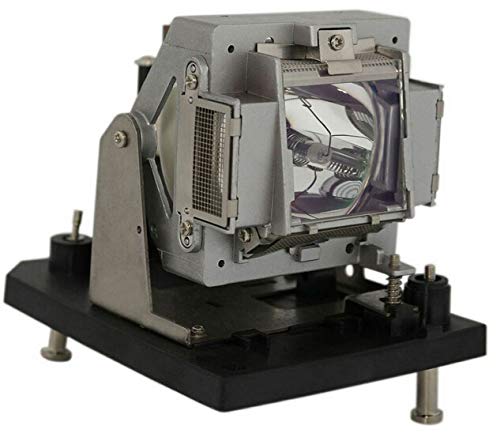 Bulbe de rechange NP12LP haute luminosité pour vidéoprojecteur NEC - 2