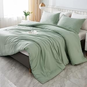 Litanika Queen Comforter Set Sage G...