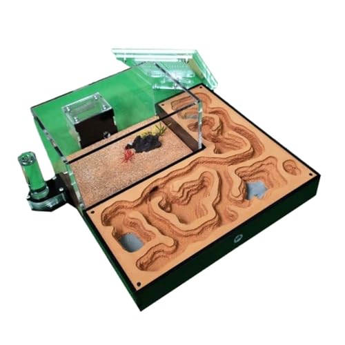 EYRMQWJPC Transparentes Ameisenburg Terrarium 27x25x12cm