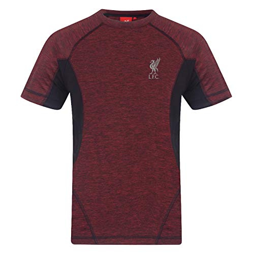 Liverpool FC Official Gift Boys Poly T-Shirt Red Marl 8-9 Years