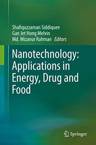 Nanotechnology: Applications in Energy, Drug and Food (English Edition)