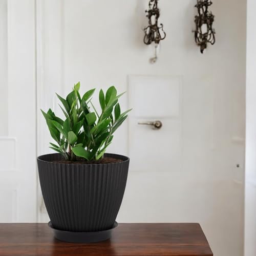 Image of GARDENS NEED 7 Inches Grand Round Flower Pot | Set of 5 | Black | Plastic Planter Pots for Indoor & Outdoor Home, Office & Balcony Decoration