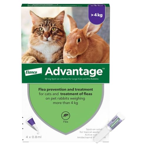 Advantage Spot On Flea Treatment For Large Cats and Rabbits Over 4kg (4 pipettes, 80mg), Kills Fleas Within 24 Hours, Prevents Further Infestation For Up To Four Weeks in Cats - Image 3