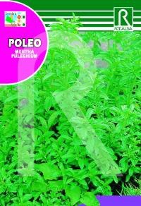 Semilla poleo - Rocalba Cover