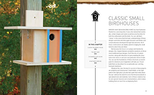 Build-It-Yourself Birdhouses: 25+ DIY Birdhouses and Bird Feeders - Image 3