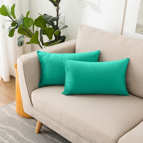 NiNi ALL Aqua Green Velvet Throw Pillow Covers 12x20 Pack of 2 Decorative