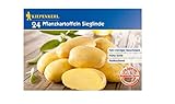 speckig Älteste deutsche Kartoffelsorte, die für den gewerblichen Anbau zugelassen ist