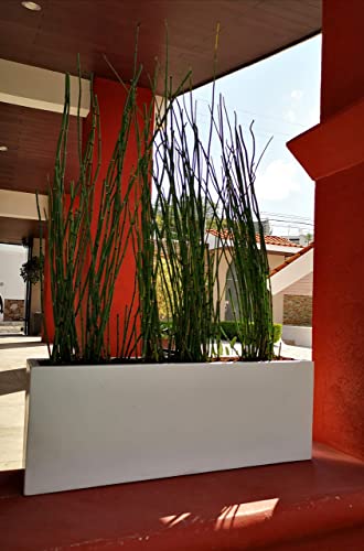 Green Boutique Jardinera Rectangular Modern Fiberglass Pot Planter Indoor Outdoor Variety Of Colors (35.4" L X 8.2" W X 13" T, White) #TOP1