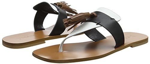 Pollini