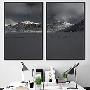 signwin 2 Piece Framed Canvas Wall Art Monochromatic...