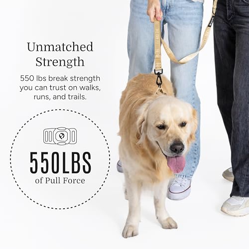Fei & Eve MagEase Dog Collar - Patented Magnetic Buckles | Fur-Safe | Premium 210D Nylon | 550LB Escape-Proof | Adjustable Fit | Large (Champagne) by Fei and Eve - Image 4