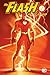 The Flash by Geoff Johns Omnibus Vol. 2
