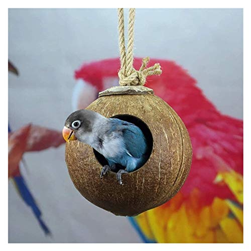Coconut Shell Bird Nest Natuurlijke Kokosnoot Vogelnest Bird Nest With Ladder Bird Coconut House Swing Nest For Parrot… - Afbeelding 7
