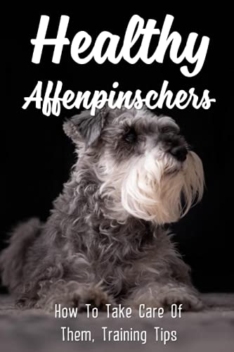 Healthy Affenpinschers: How To Take Care Of Them, Training Tips: Supplies To Prepare For Affenpinscher