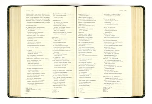 Bíblia C.S. Lewis NAA, Couro-soft verde - Imagem 6