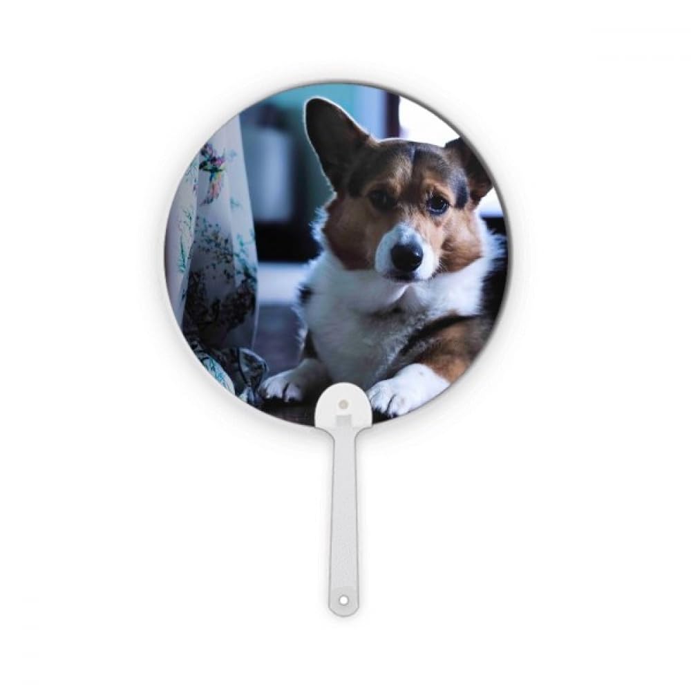 Chien Corgi image décorative ronde pour égayer le bureau