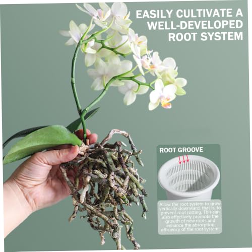 Pots à orchidées avec trous auto-drainants pour herbes et succulentes - 4