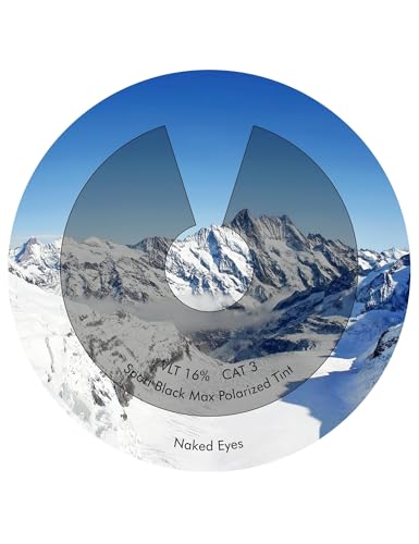 Image of Replacement Lenses Compatible with RayBan Meta Skyler RW4010 52mm AI Glasses, UV Protection, Transition