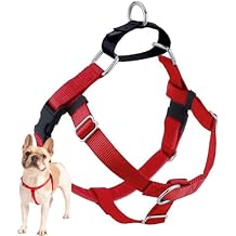 2 Hounds Design Freedom No Pull Dog Harness, Adjustable Harness, Easy Walking & Comfortable Control, Fits Small, Medium & Large Dogs, Solid Colors, Made in USA, 1" XL, Red