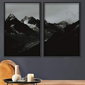 signwin 2 Piece Framed Canvas Wall Art Monochromatic...