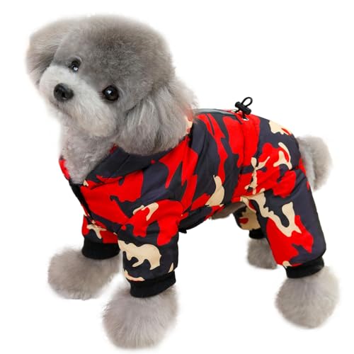 Maiitmor q~R[ggWPbghhybgWPbgSgR[ght[htl{WPbg`v[h[NV[ybgAp