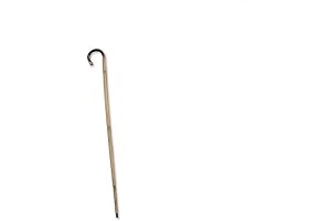Waldo's Essential Bamboo Walking Cane