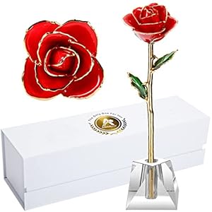 AliveRose Valentines Day Gift, 24K Gold Dipped Real Rose Gift for her and Great Valentines Gift for her Rose(Red with…