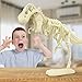 Thames & Kosmos Giant Dinosaur: T. Rex Skeleton Model | STEM Activity | Build a 26-in Long T. Rex Skeleton | Explore Paleontology & Learn Fun Dino Facts | Includes Manual with Step-by-Step Assembly