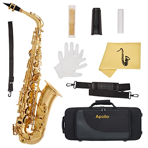 Apollo Alto Saxophone In Gold Lacquer With Leather Pads, Complete With Case And Accessories #TOP13