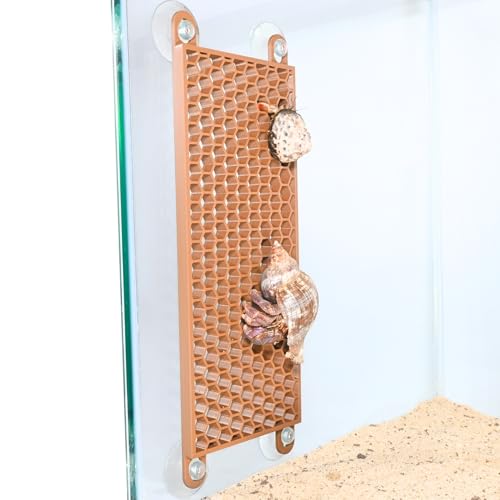 Image of Lucky Critter Hermit Crab Ladder Climbing Toy | Hermit Crab Tank Enrichment Decor | Hermit Crab Decoration Accessories Supplies Toys Ornaments