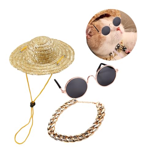 BESPORTBLE 3pcs Fashion Pet Dog Cat Accessories Set Retro Sunglasses Dog Gold Necklace
