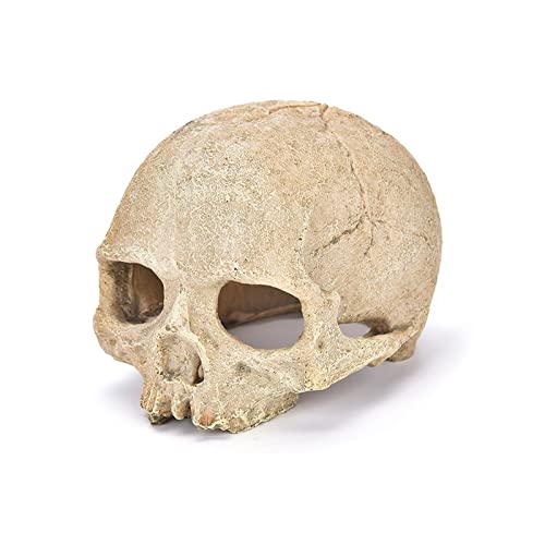 YUANHONGJIAN Realistic Resin Skull