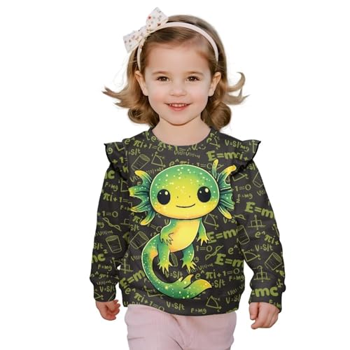 Toddler Sweatshirt Ruffle Long Sleeve Shirts for Girls 1-8Y Outdoor Travel Casual Tees Tops