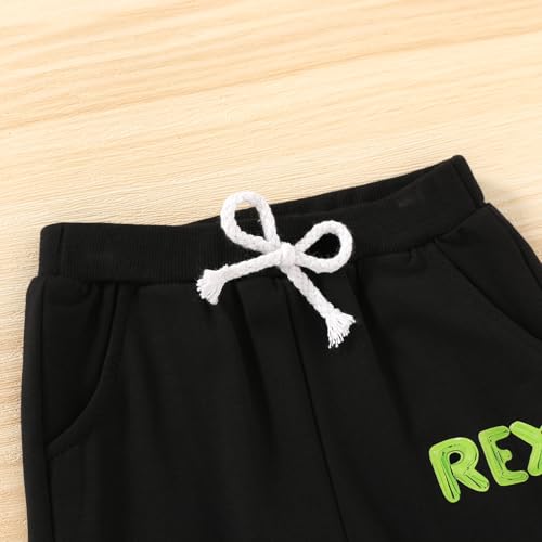 Toddler Baby Boy Clothes Fall Winter Outfits 1st 2nd 3rd Birthday Boy Outfit Sweatshirt Sweat Pants Set Sweatsuit4