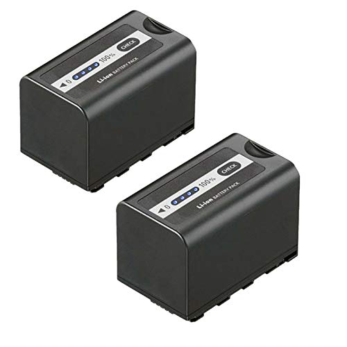 Kastar Replacement Battery for Panasonic Cameras (2-Pack)