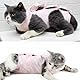 YNYCIPZ Katzenbekleidung,Katzen-Genesungsanzug, postkastrierter Katzen-Genesungsanzug mit Korsett, Anti-leckende Bauchwunde (Rosa, L)
