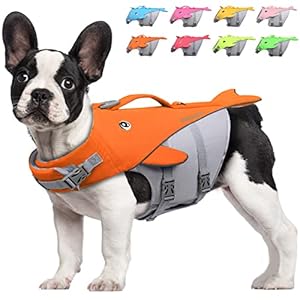 VIVAGLORY Hundeschwimmweste für Kleine & Mittelgroße Hunde, Einfach An-und Auszuziehen Sportliche Hundeschwimmweste mit verstellbaren Nylongurten, Neon-Orange