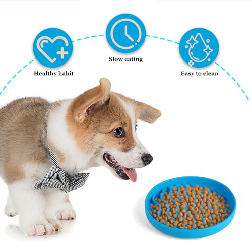 Antischlingnapf Katze & kleine Hunde Ø 20 cm aus Silikon – Slow Feeder für Nassfutter & Trockenfutter, Anti Schling Napf mit Saugnapf, Rutschfester Futternapf für langsames Fressen, Blau