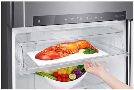 The Fresh Zone drawer of the LG LT19HBHSIN refrigerator, showing a lobster on a tray and vegetables below.