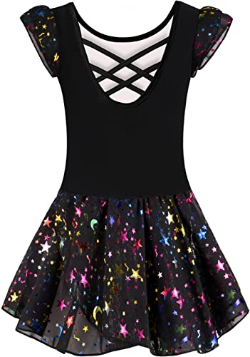 Image of DANSHOW Ballet Leotards for Girls Dance Skirted Leotard Kids Ballet Tutu Dress Toddler Shiny Ruffle Sleeve Dancewear