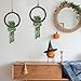 Der Rose 2 Pack Fake Plants Hanging Artificial Succulents Plants in Black Pots for Living Room Bathroom Accessories Boho Farmhouse Wall Decor