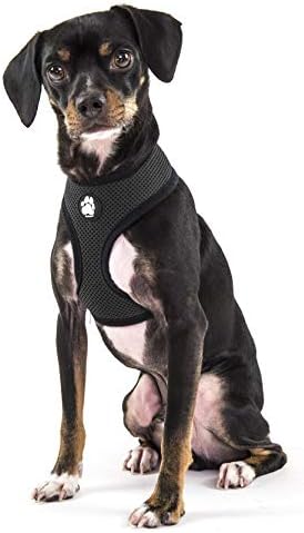 Furhaven Adjustable Padded Mesh Dog Harness - Black, Small image 5