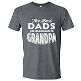 Great Father Gift, The Best Dads Get Promoted to Grandpa, Gray XL