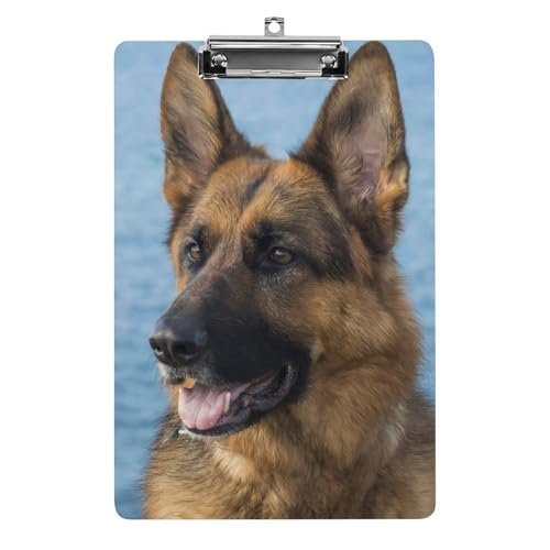 Nbv{[h A4 c^ W[}VFp[h t@C{[h Ǌ|  ₷ v{[h Ď^т₷  [ cpbh pi  wZ ƒpoC_[