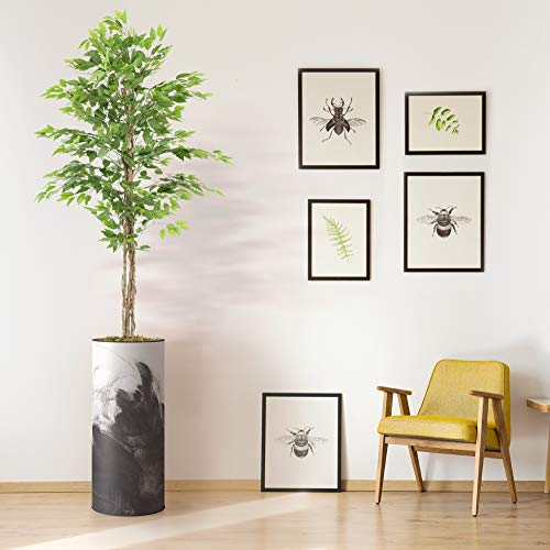 signwin - Artificial Ficus Tree in a Minimalist Style Black and White Texture Vase - Modern Indoor Floor Plant Decoration for Home or Office - Large Size 99